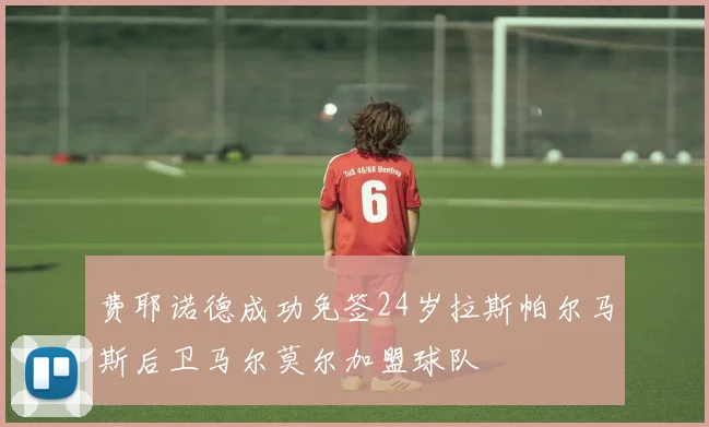 费耶诺德成功免签24岁拉斯帕尔马斯后卫马尔莫尔加盟球队